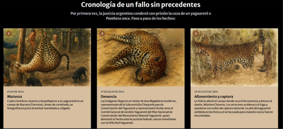Condena judicial a cazadores de yaguareté